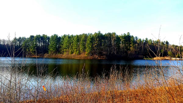 Frontage of the property at the reservoir.